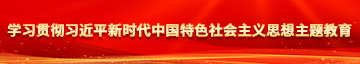 艹美女嫩逼学习贯彻习近平新时代中国特色社会主义思想主题教育